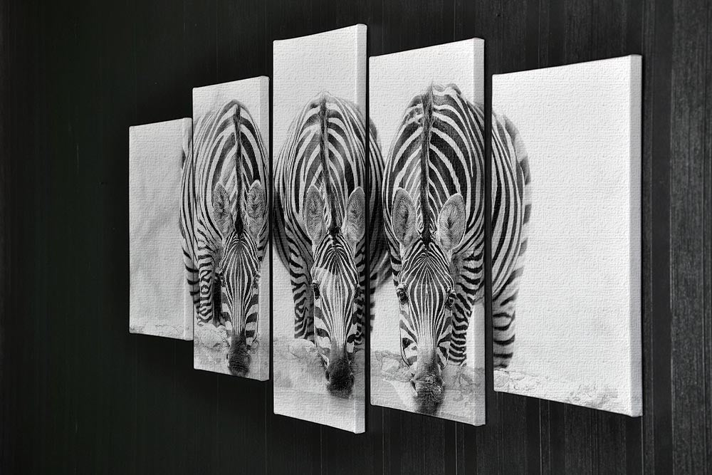 Zebras Drinking 5 Split Panel Canvas - Canvas Art Rocks - 2