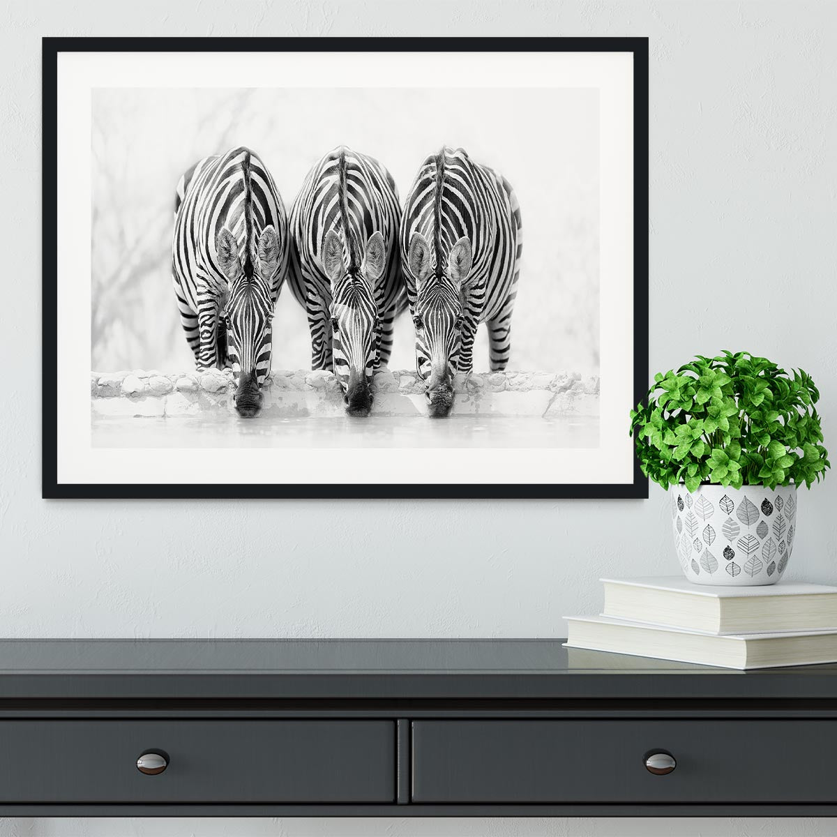 Zebras Drinking Framed Print - Canvas Art Rocks - 1