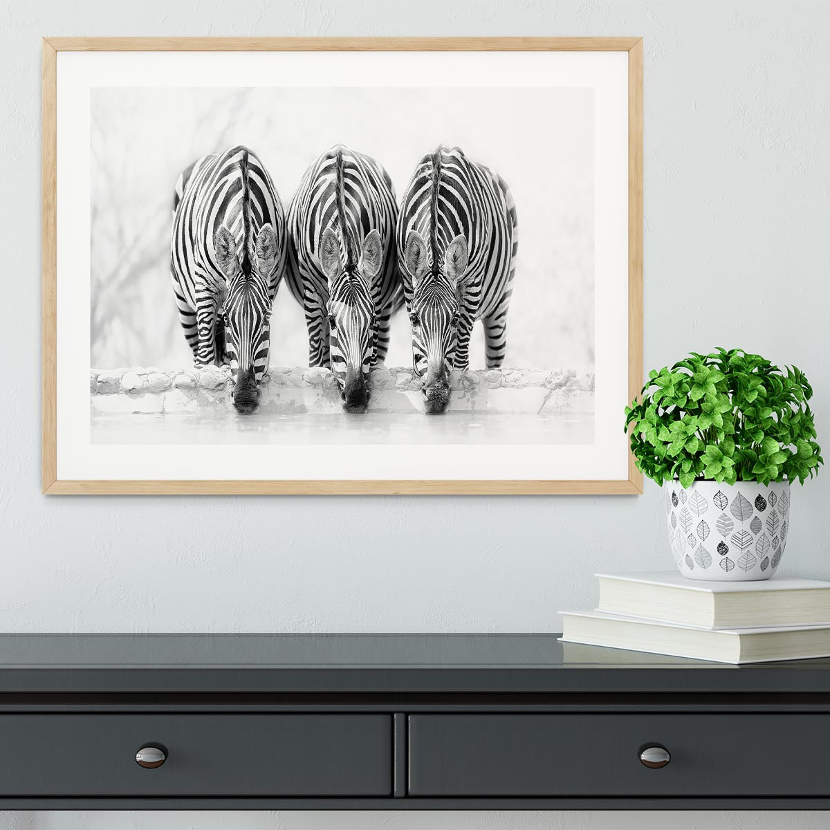 Zebras Drinking Framed Print - Canvas Art Rocks - 3