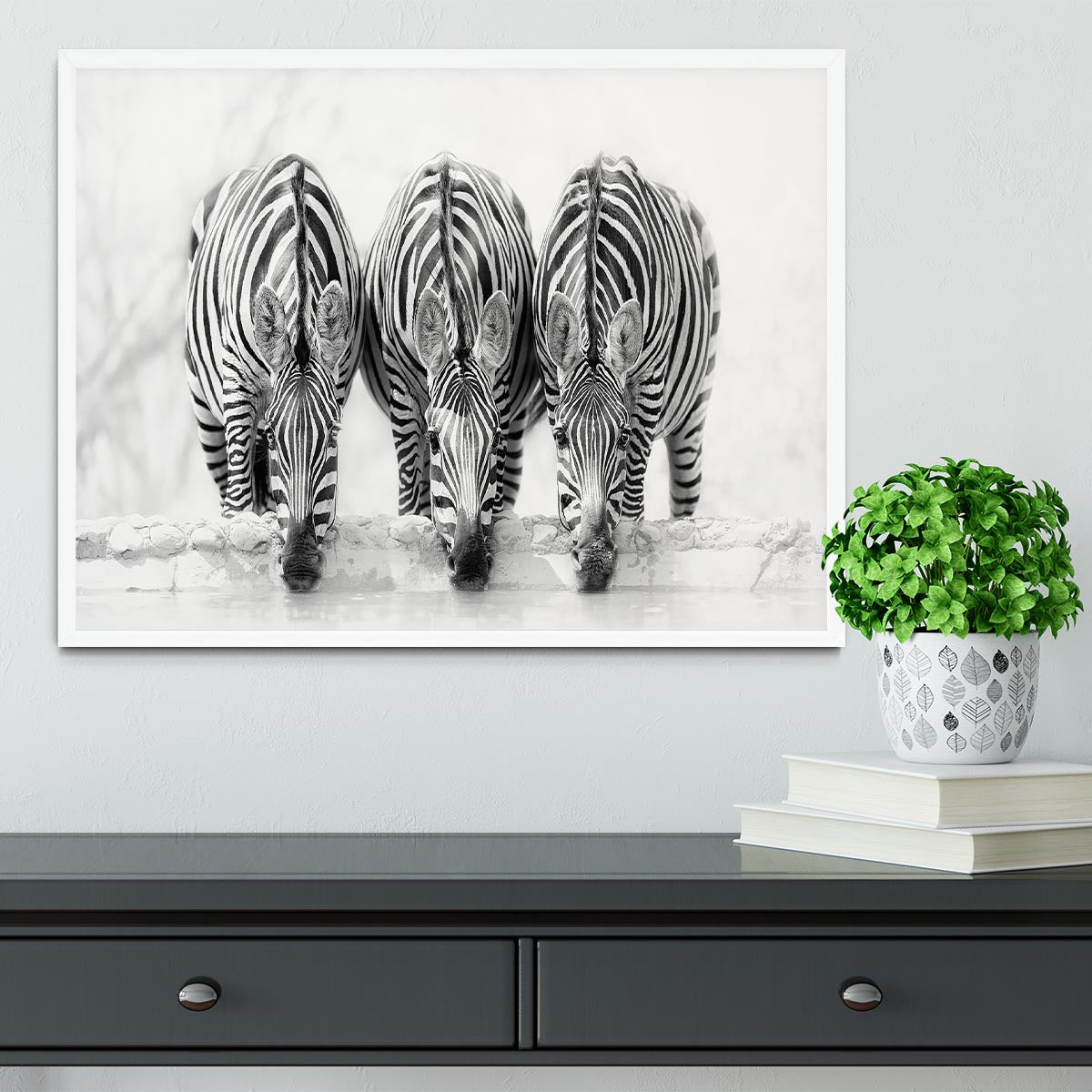 Zebras Drinking Framed Print - Canvas Art Rocks -6