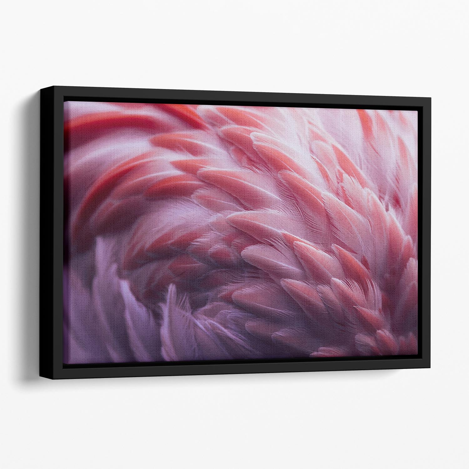 Flamingo Floating Framed Canvas - 1x - 1