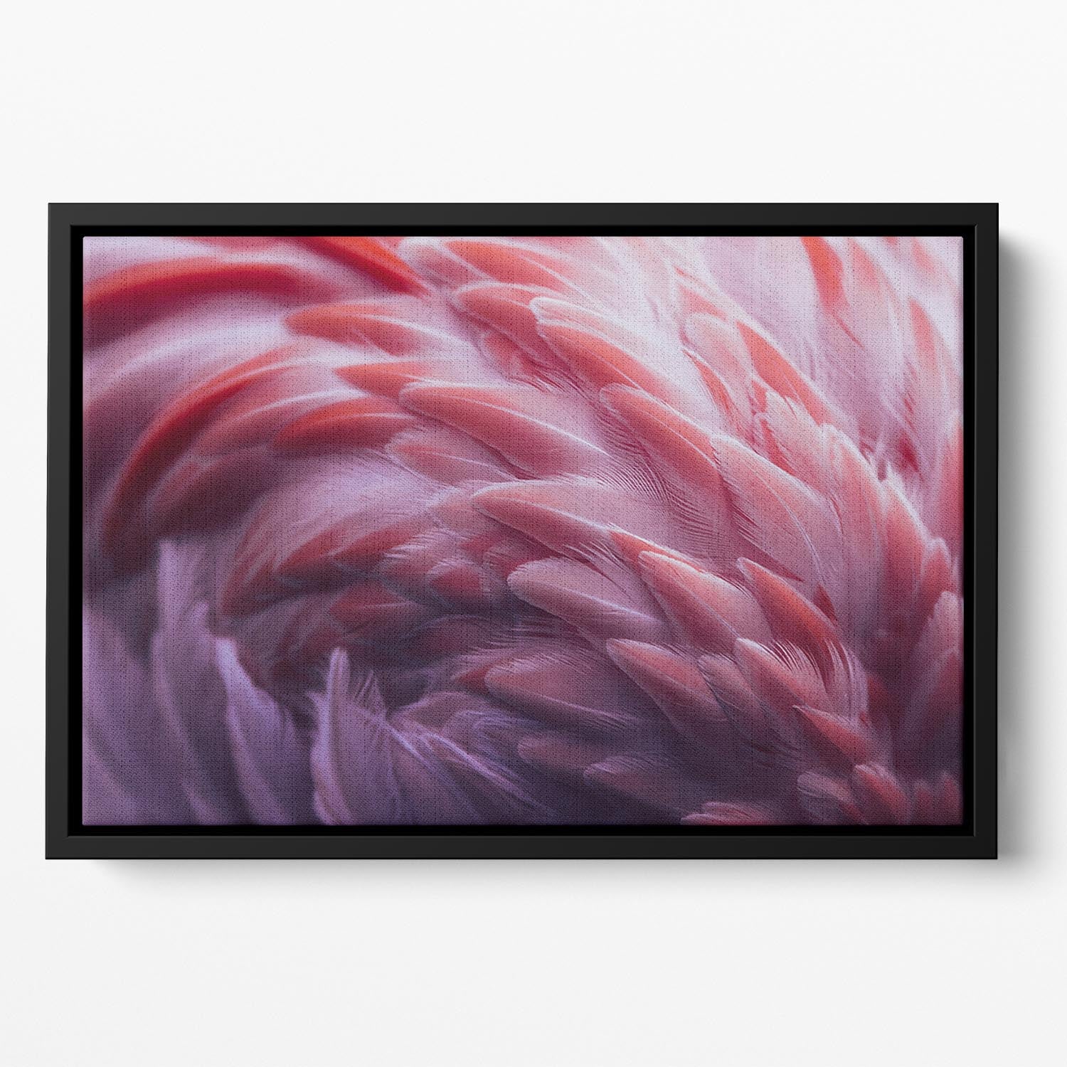Flamingo Floating Framed Canvas - 1x - 2