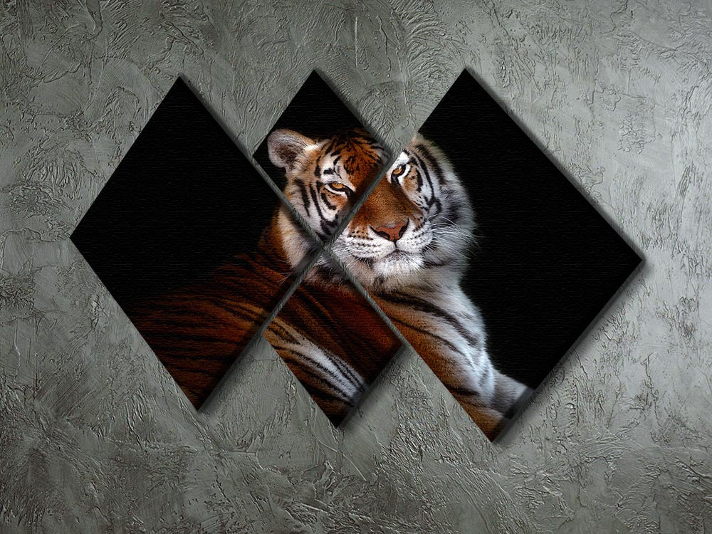 Serenity Tiger 4 Square Multi Panel Canvas - Canvas Art Rocks - 2