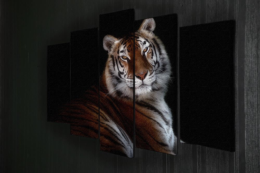 Serenity Tiger 5 Split Panel Canvas - Canvas Art Rocks - 2