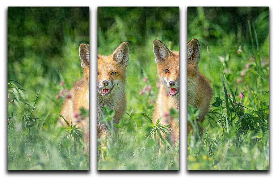 Foxes In Sprint 3 Split Panel Canvas Print - Canvas Art Rocks - 1