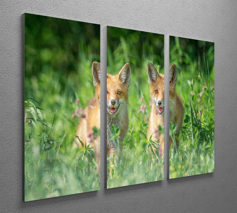 Foxes In Sprint 3 Split Panel Canvas Print - Canvas Art Rocks - 2