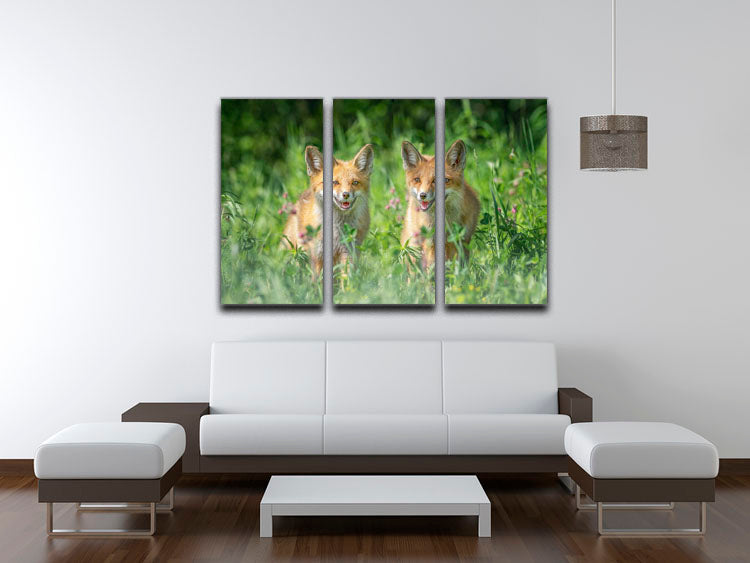 Foxes In Sprint 3 Split Panel Canvas Print - Canvas Art Rocks - 3