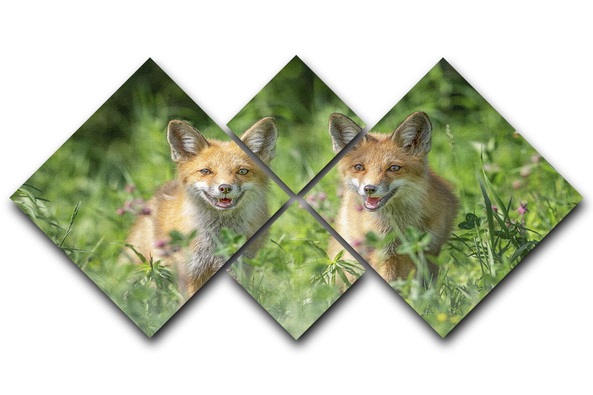 Foxes In Sprint 4 Square Multi Panel Canvas - Canvas Art Rocks - 1