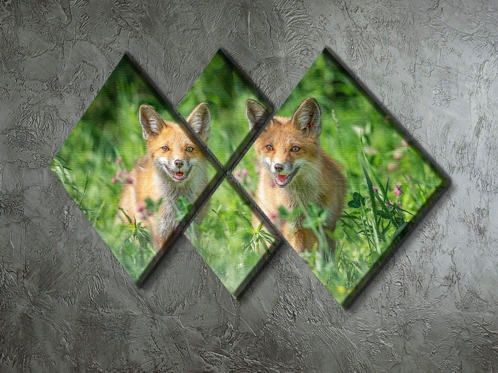 Foxes In Sprint 4 Square Multi Panel Canvas - Canvas Art Rocks - 2