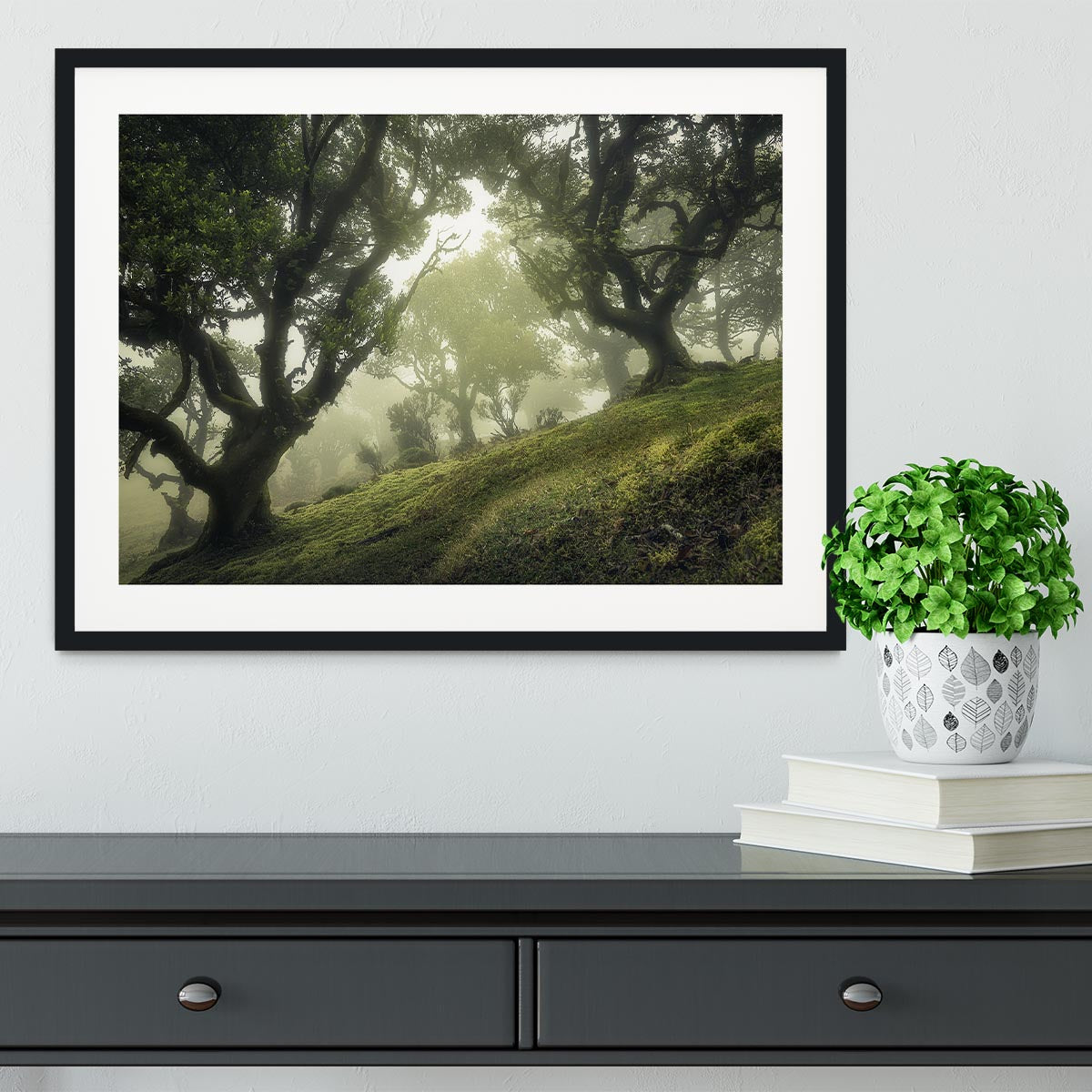 Enchanted Forest Framed Print - Canvas Art Rocks - 1
