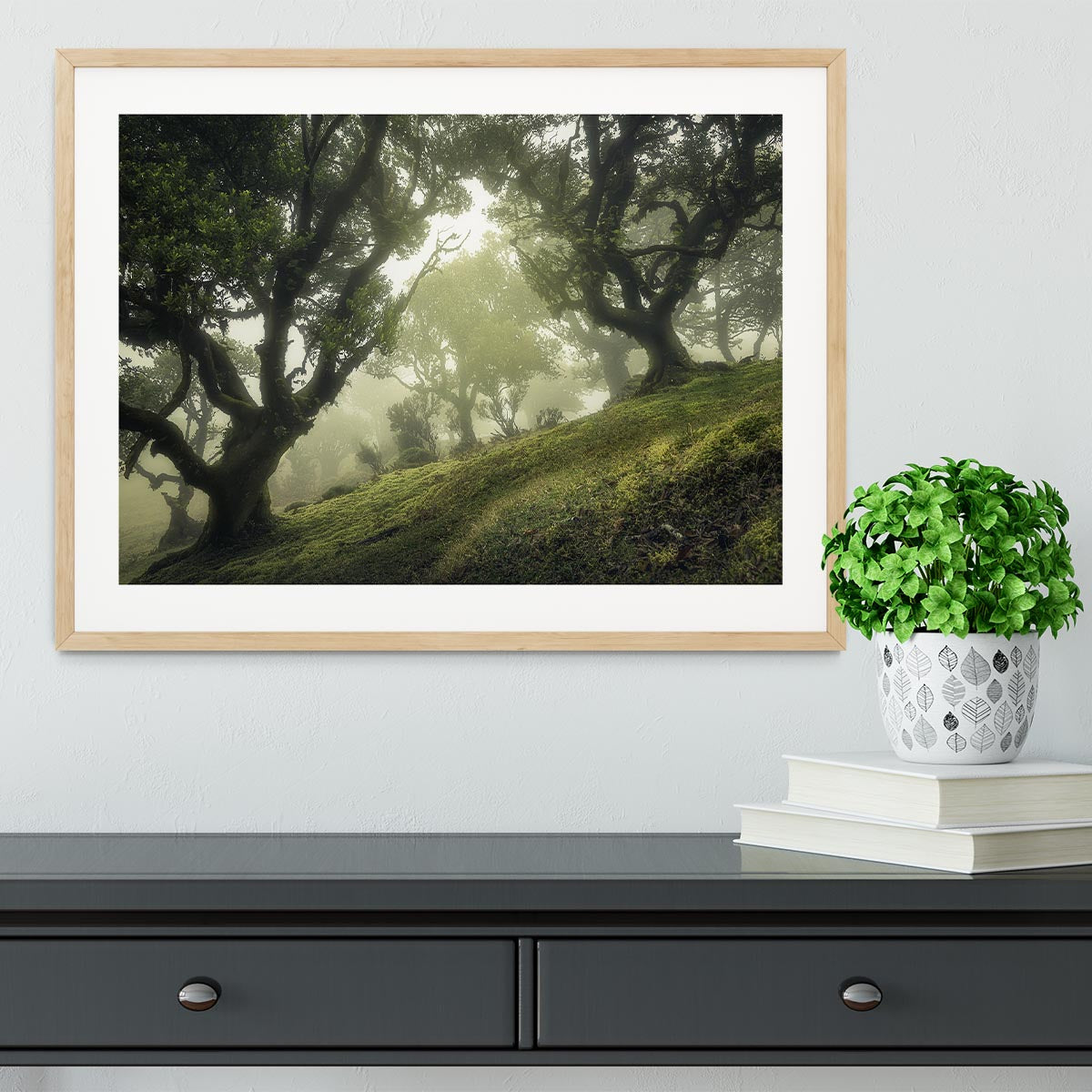 Enchanted Forest Framed Print - Canvas Art Rocks - 3
