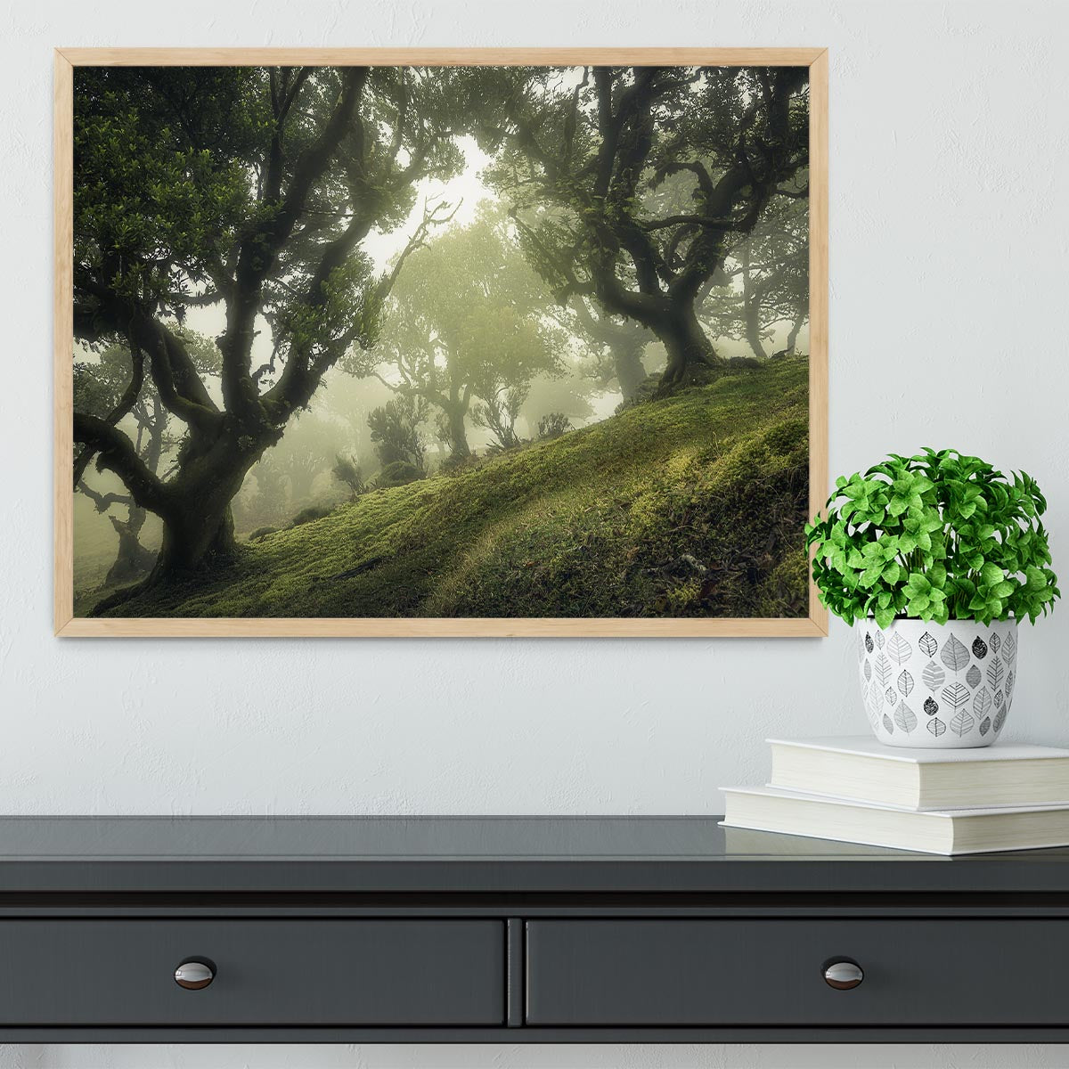 Enchanted Forest Framed Print - Canvas Art Rocks - 4