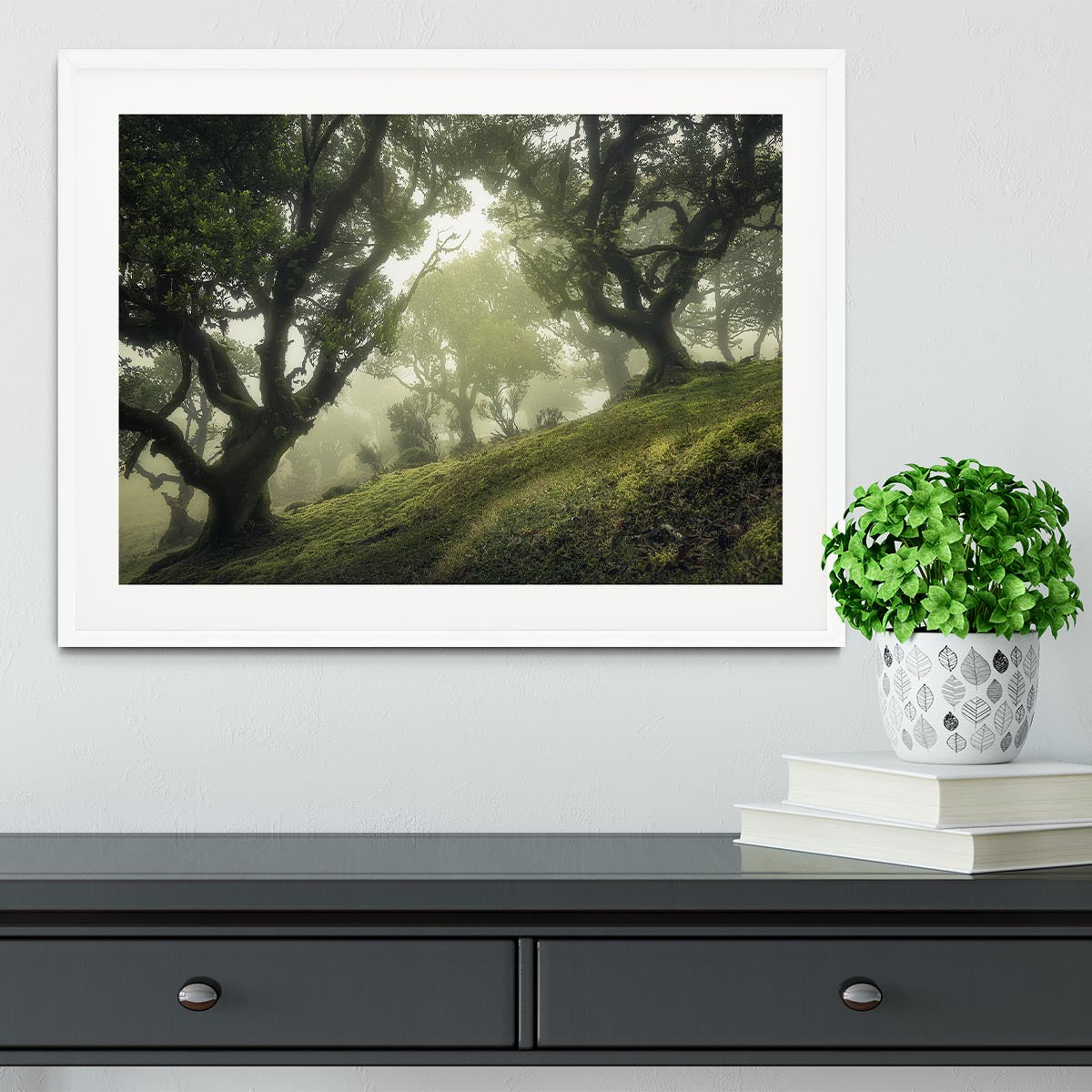 Enchanted Forest Framed Print - Canvas Art Rocks - 5