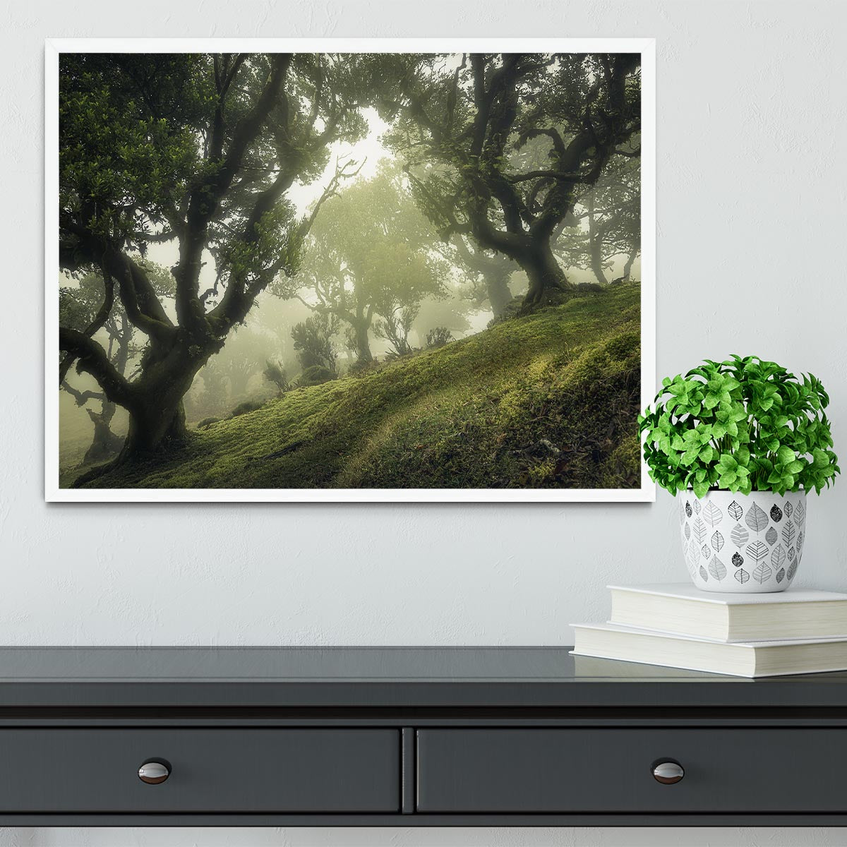 Enchanted Forest Framed Print - Canvas Art Rocks -6