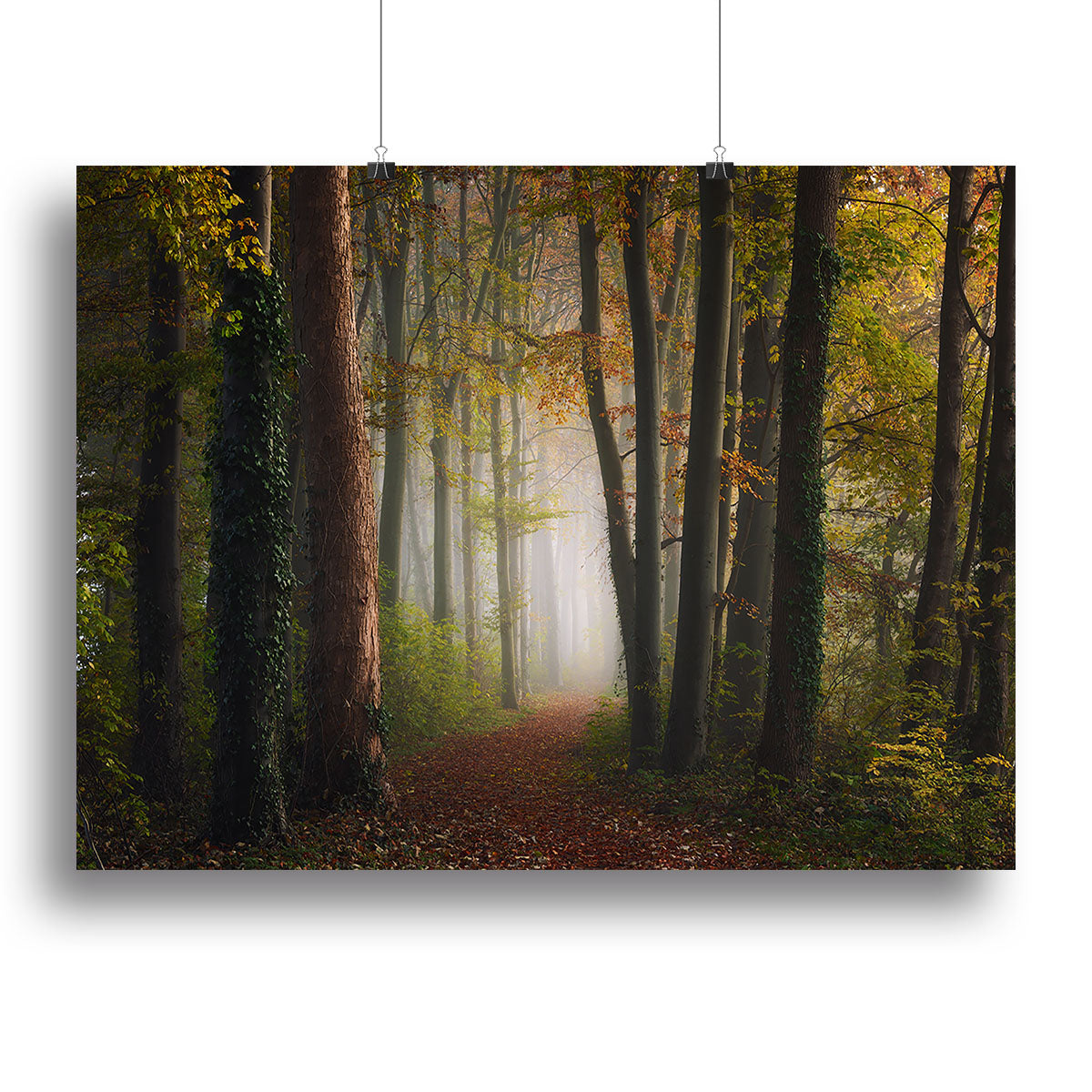 Autumn Colorful Forest Canvas Print or Poster - Canvas Art Rocks - 2