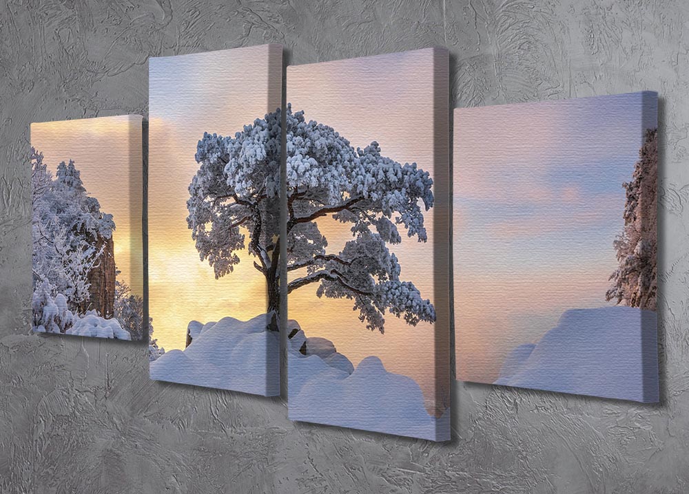 Cold Loner 4 Split Panel Canvas - Canvas Art Rocks - 2