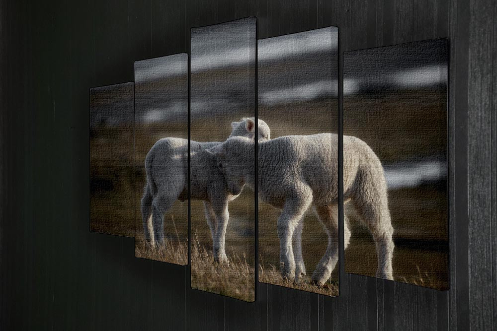 Lambs 5 Split Panel Canvas - Canvas Art Rocks - 2