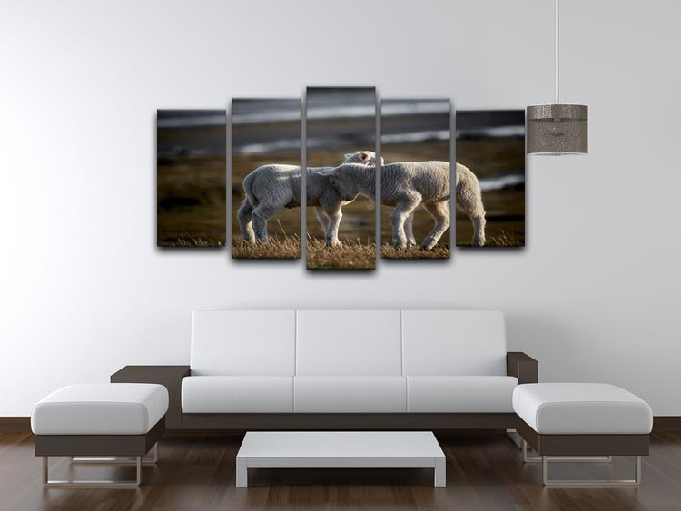 Lambs 5 Split Panel Canvas - Canvas Art Rocks - 3