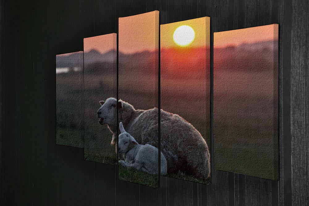 Sleep well Sheep 5 Split Panel Canvas - Canvas Art Rocks - 2
