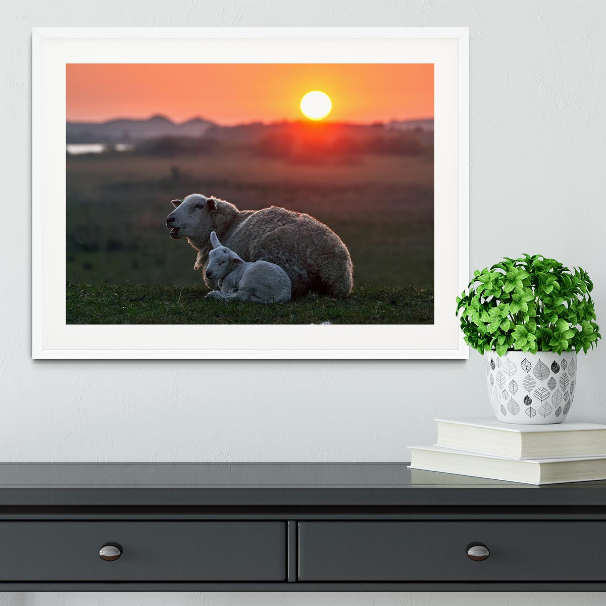 Sleep well Sheep Framed Print - Canvas Art Rocks - 5