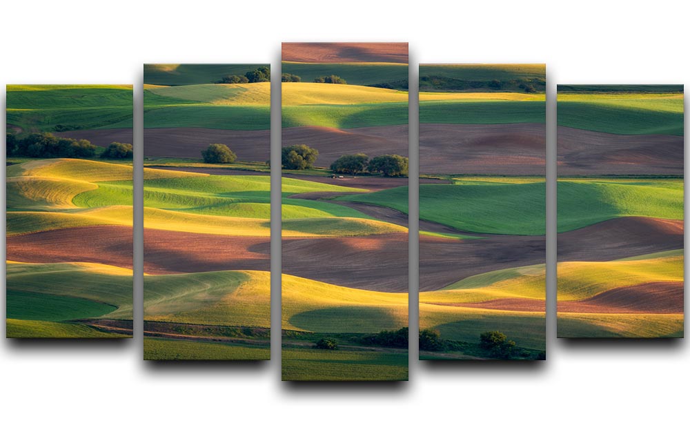 Colorful Palouse 5 Split Panel Canvas - Canvas Art Rocks - 1