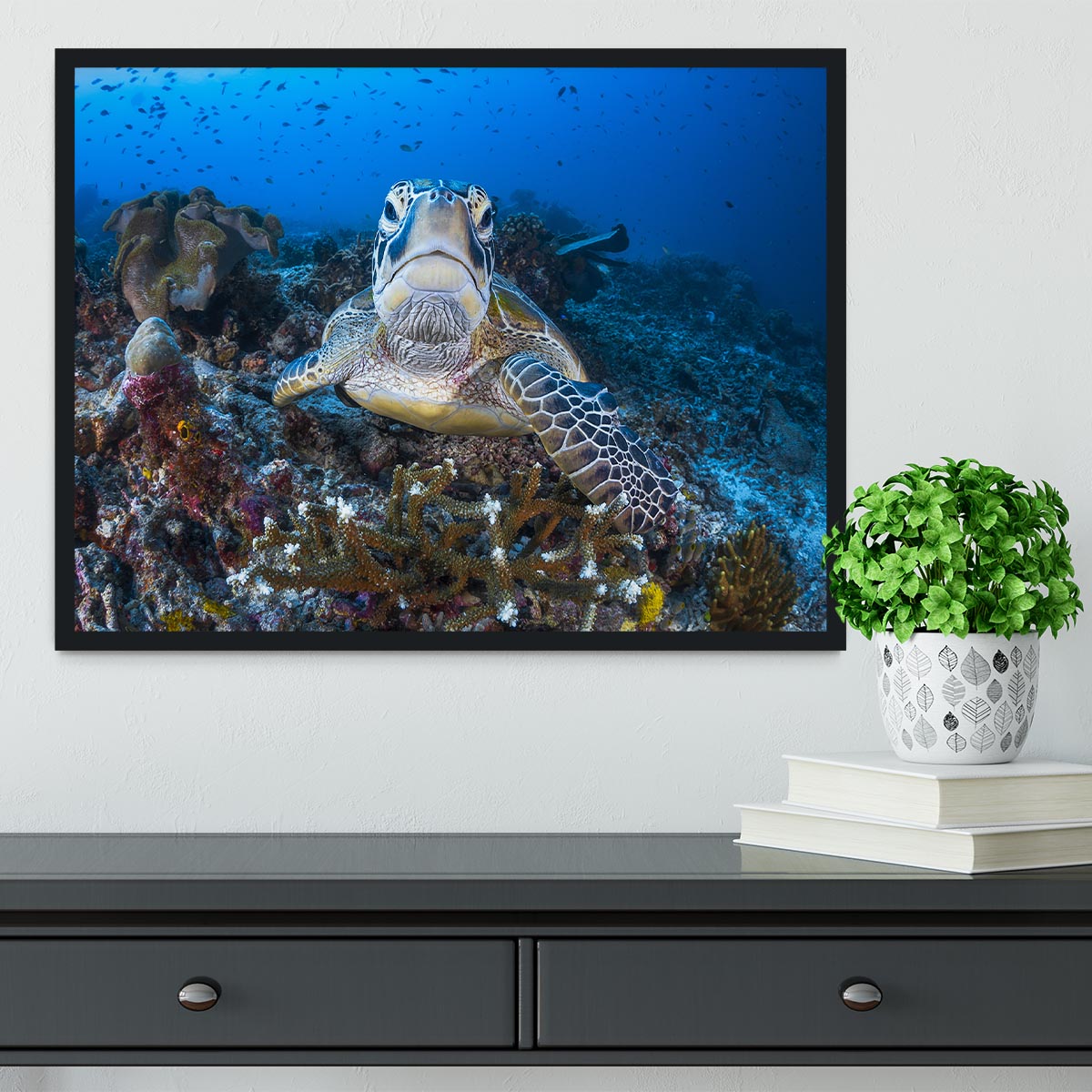 Face To Face With A Green Turtle Framed Print - Canvas Art Rocks - 2