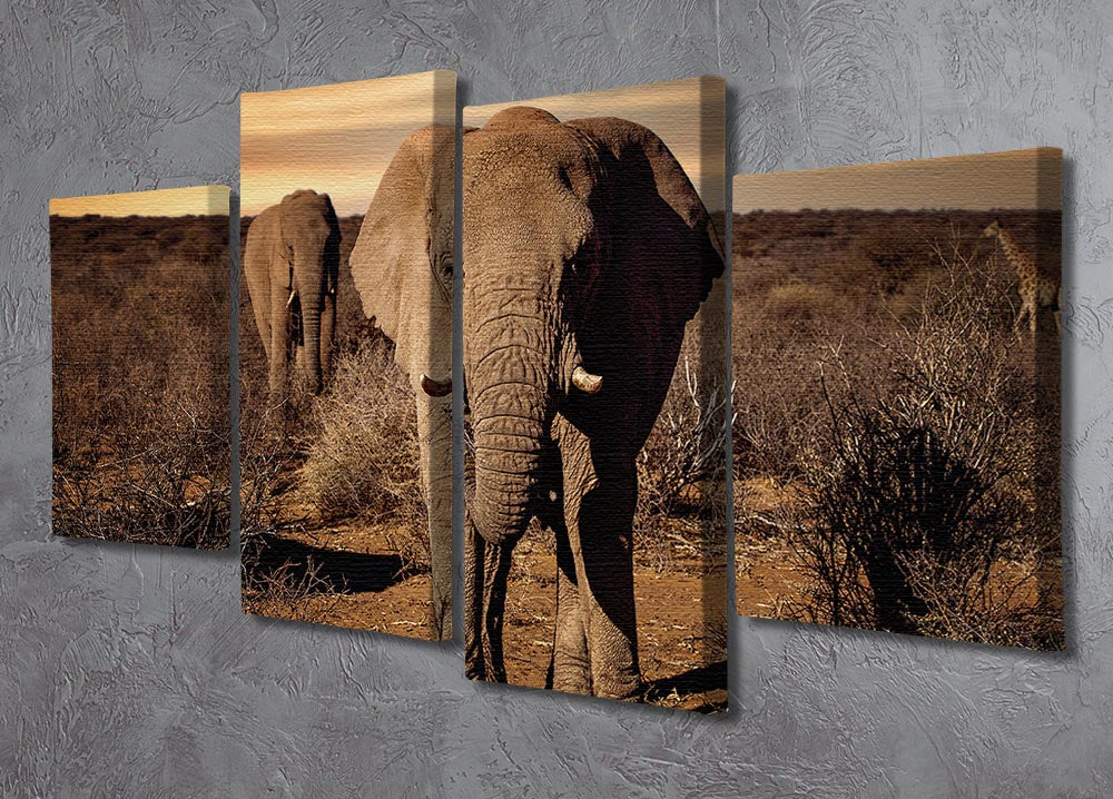 Elephant Posing 4 Split Panel Canvas - Canvas Art Rocks - 2