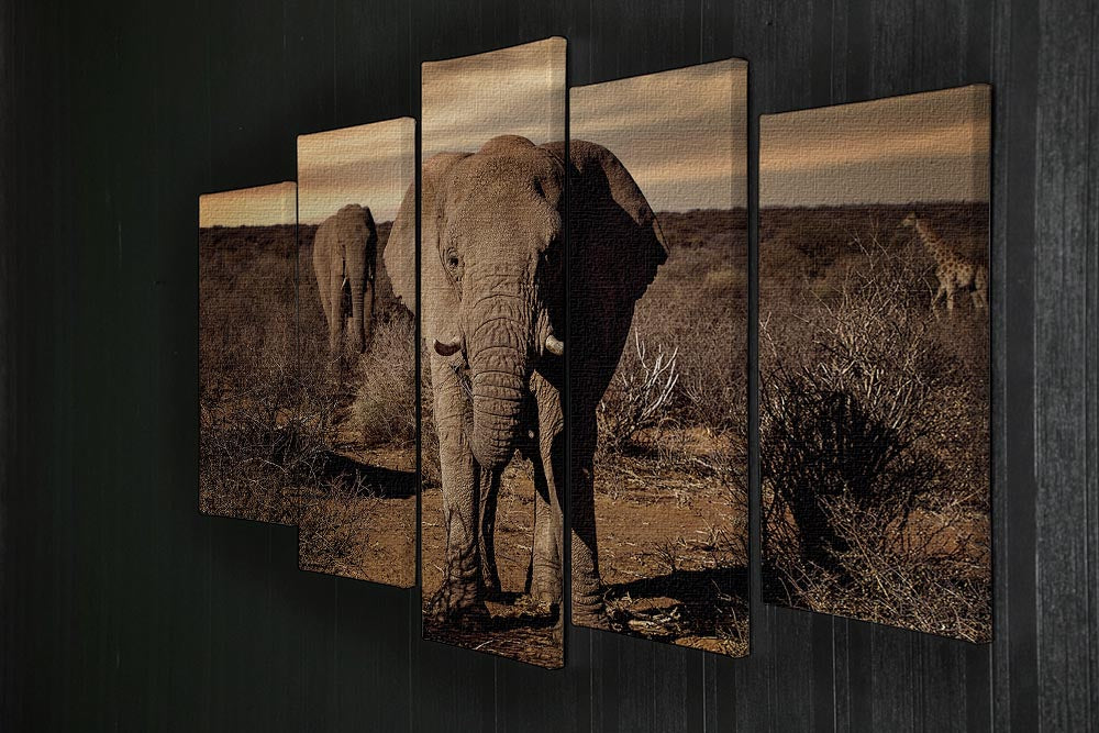 Elephant Posing 5 Split Panel Canvas - Canvas Art Rocks - 2