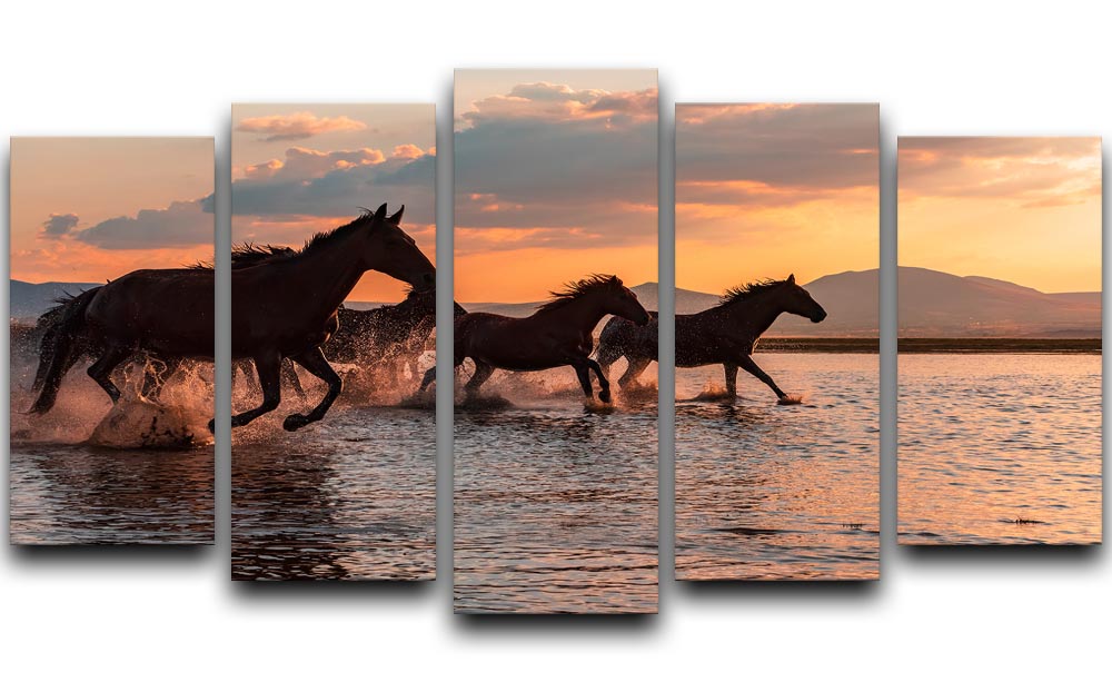 Water Horses 5 Split Panel Canvas - 1x - 1