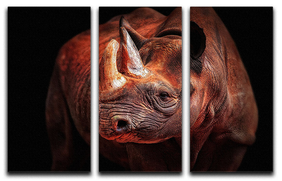 Rhino Posing 3 Split Panel Canvas Print - Canvas Art Rocks - 1