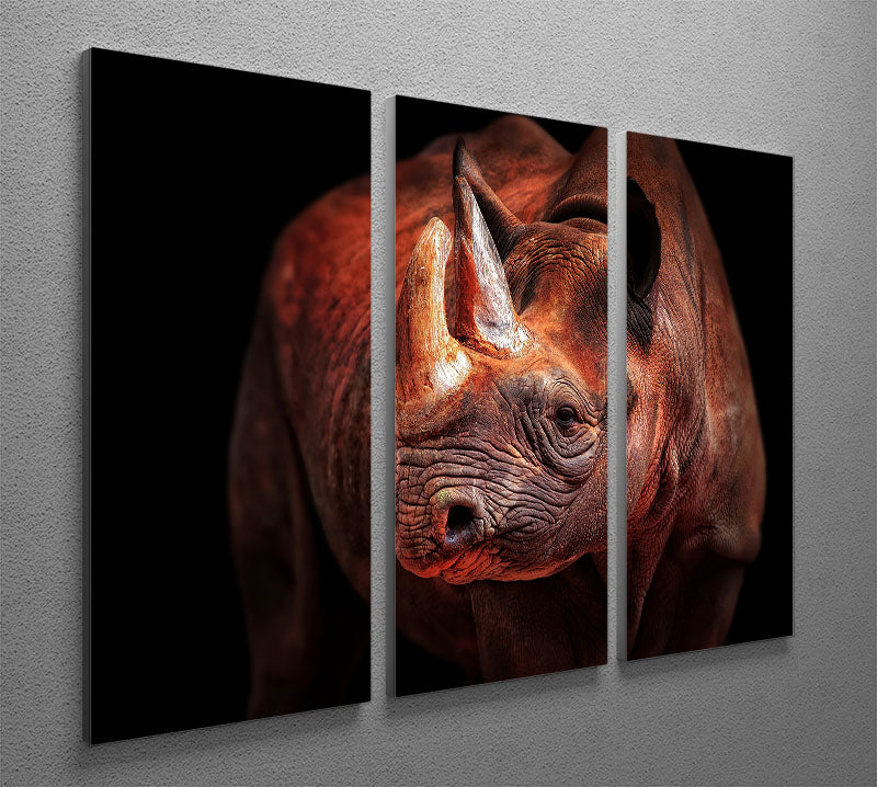 Rhino Posing 3 Split Panel Canvas Print - Canvas Art Rocks - 2