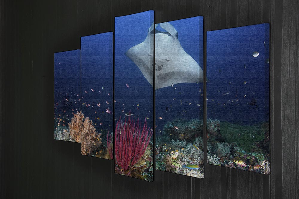Ocean Manta Ray On The Reef 5 Split Panel Canvas - Canvas Art Rocks - 2