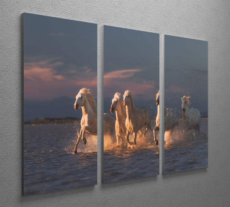 Camargue horses on sunset 3 Split Panel Canvas Print - Canvas Art Rocks - 2