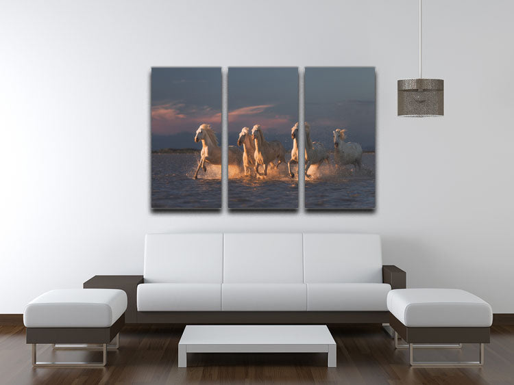 Camargue horses on sunset 3 Split Panel Canvas Print - Canvas Art Rocks - 3