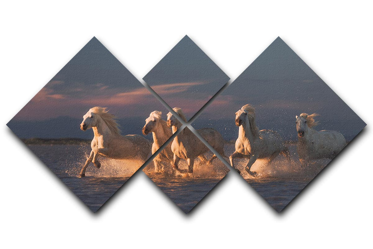 Camargue horses on sunset 4 Square Multi Panel Canvas - Canvas Art Rocks - 1