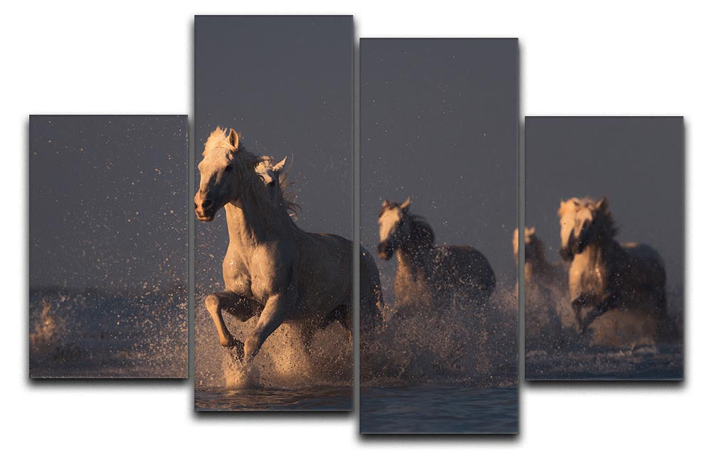 Horses in sunset light 4 Split Panel Canvas - Canvas Art Rocks - 1