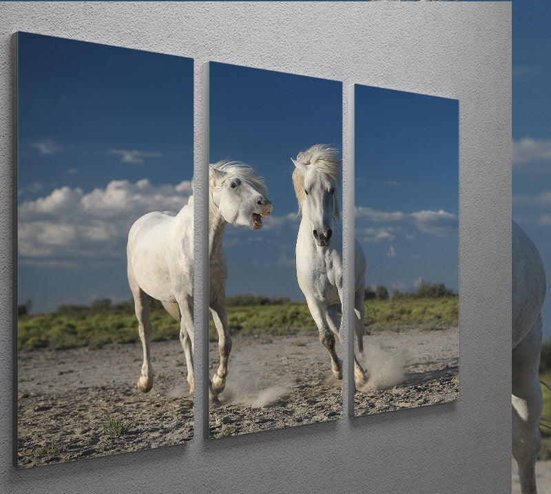 White Beach Horses 3 Split Panel Canvas Print - Canvas Art Rocks - 2