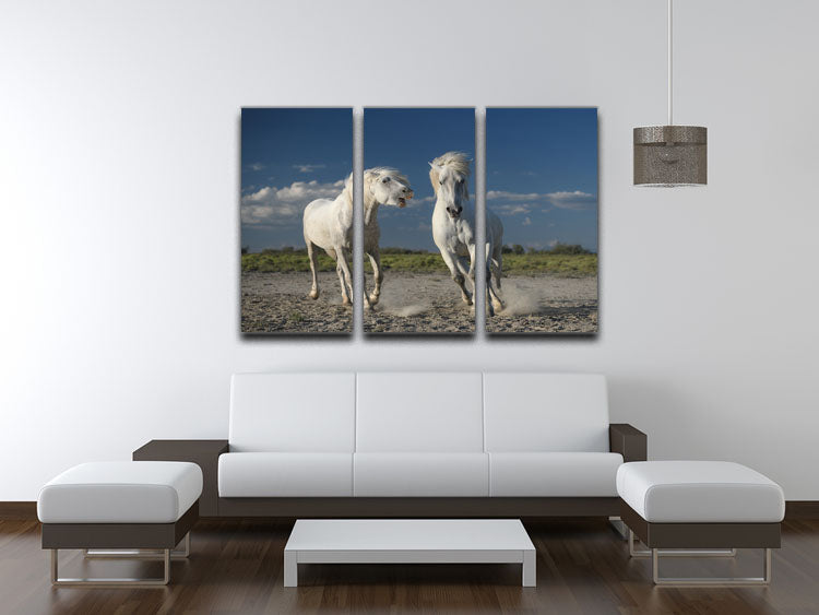 White Beach Horses 3 Split Panel Canvas Print - Canvas Art Rocks - 3