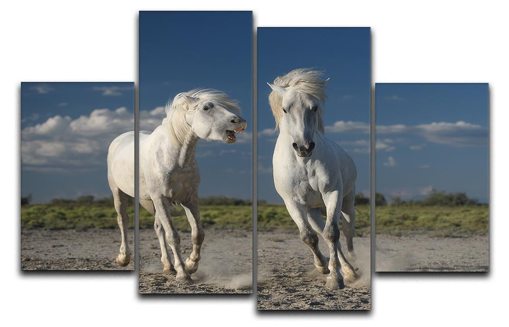 White Beach Horses 4 Split Panel Canvas - Canvas Art Rocks - 1