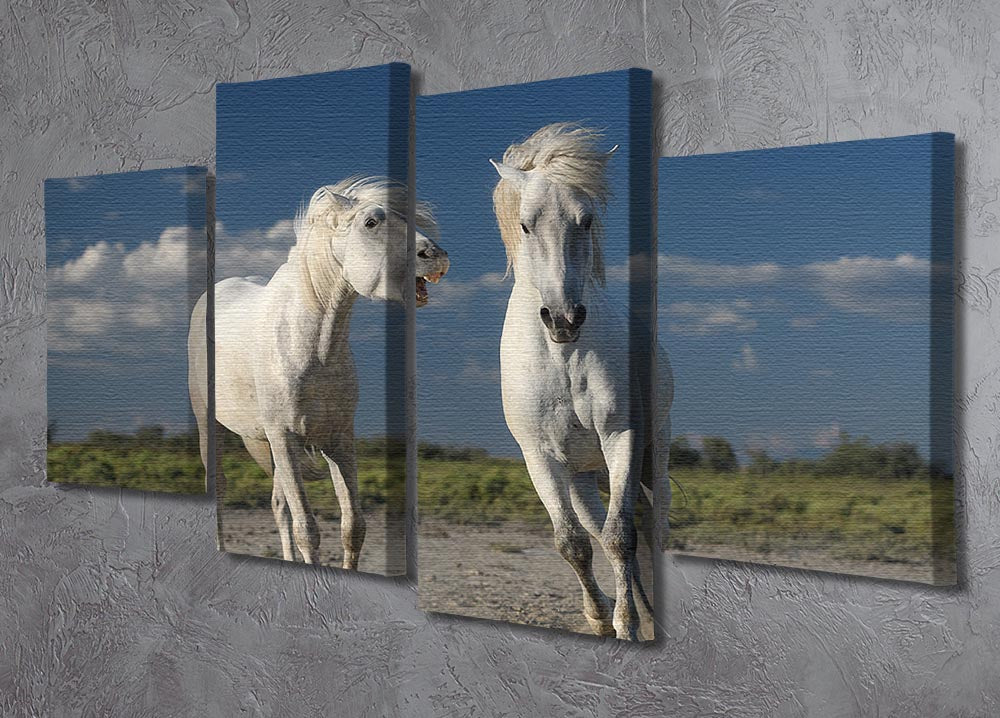 White Beach Horses 4 Split Panel Canvas - Canvas Art Rocks - 2