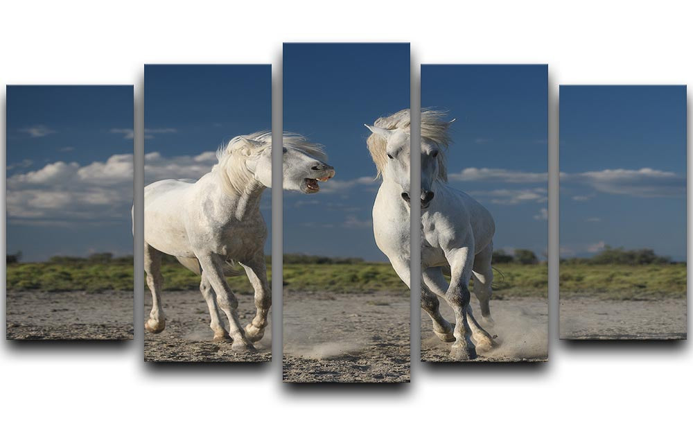 White Beach Horses 5 Split Panel Canvas - Canvas Art Rocks - 1