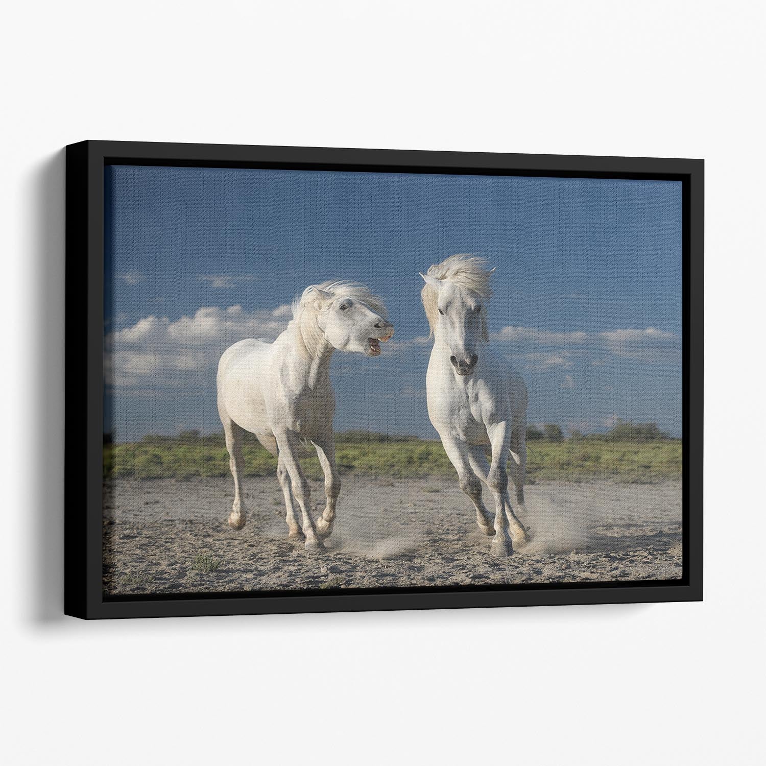 White Beach Horses Floating Framed Canvas - Canvas Art Rocks - 1