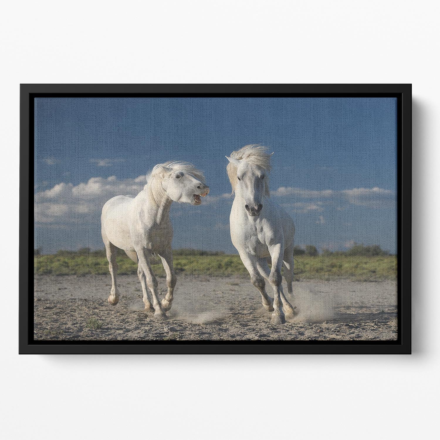 White Beach Horses Floating Framed Canvas - Canvas Art Rocks - 2