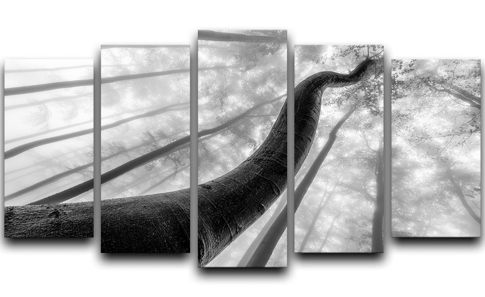 Tree Shapes 5 Split Panel Canvas - Canvas Art Rocks - 1