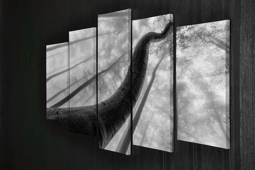 Tree Shapes 5 Split Panel Canvas - Canvas Art Rocks - 2