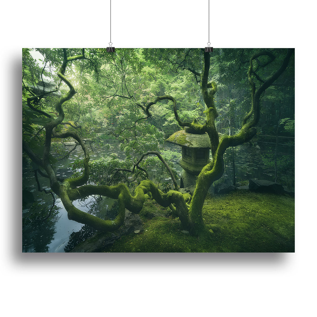 Japanese Tree Canvas Print or Poster - Canvas Art Rocks - 2