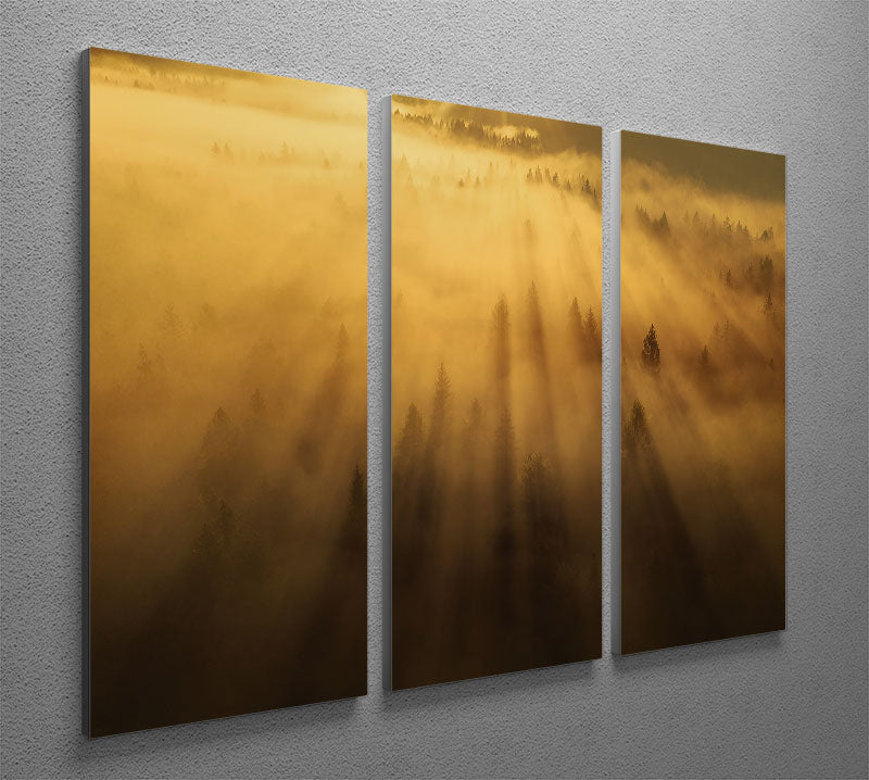 Morning In The Forest 3 Split Panel Canvas Print - Canvas Art Rocks - 2