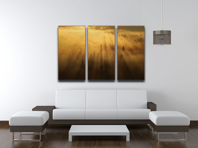 Morning In The Forest 3 Split Panel Canvas Print - Canvas Art Rocks - 3