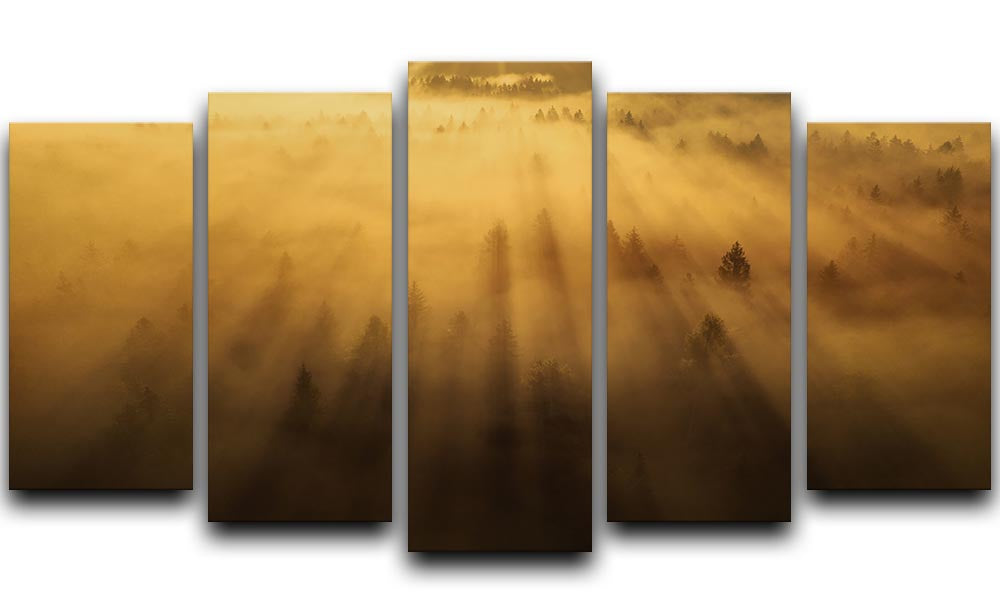 Morning In The Forest 5 Split Panel Canvas - Canvas Art Rocks - 1