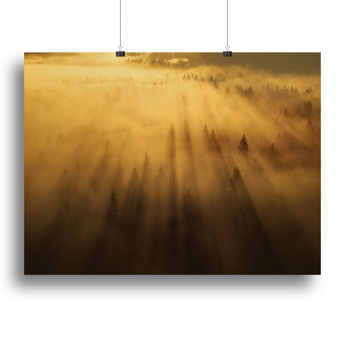 Morning In The Forest Canvas Print or Poster - Canvas Art Rocks - 2